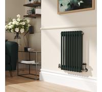 Reggio Evergreen Horizontal Double Column Traditional Radiator 600x425mm 1416 BTU - Cast Iron Style