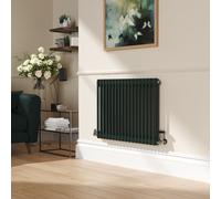 Reggio Evergreen Horizontal Double Column Traditional Radiator 600x830mm 2832 BTU - Cast Iron Style