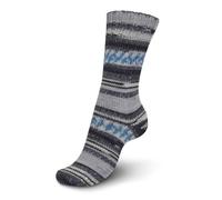 Regia 6 Ply Color 150g Sophisticated Color 06045 Dylan