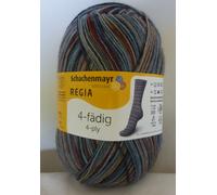 Regia 6029 ~ 4ply Multicoloured Sock Yarn x 100 gms
