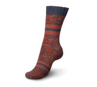 Regia Knitting Wool Yarn Pairfect 4 Ply 100g Sock Merino Multicolour Crochet