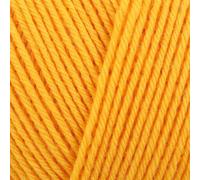 Regia Premium Pure 100g 0020 Sunflower