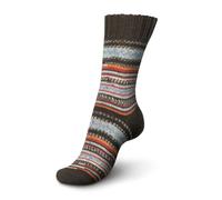 Regia Wool Knitting Pairfect Design Line by Arne & Carlos 4 Ply Sock Merino Yarn