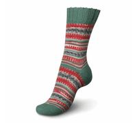 Regia Design Line, 4-Threaded by Arne & Carlos, Hand Knitting Wool/Yarn, Sock Yarn - per 100 g Ball, 75% New Wool, 25% Polyamide, Garden Color, 16 x 9 x 7.5 cm