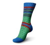 Regia Wool Knitting Pairfect Design Line by Arne & Carlos 4 Ply Sock Merino Yarn