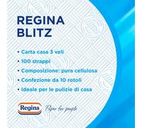 Regina Blitz Carta Casa Pack of 10 Rolls 100 MaxiLeaf 3Ply Paper Recyc
