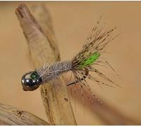 Region Fishing Tungsten Bead Peeping Caddis Jig Fly - Euro Nymph Flies - Hanak Hooks (6ct Hook #12)