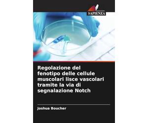 Regolazione del fenotipo delle cellule muscolari lisce vascolari tramite la via di segnalazione Notch