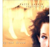 Regrooving the Dream by Larkin, Patty (2000) Audio CD