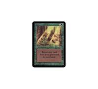 Regrowth | Alpha