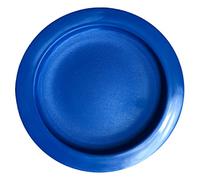 Rehabilitation Advantage Plate with Curved Inner Lip, 9 Inch Diameter, Blue