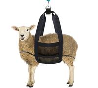 Reheyre Calf Sling for Weighing Animals, Lamb Scale Hanging Weight Scale Sling with D-Ring Adjustable for Weighing Lamb Baby Alpaca Newborn Livestock Dogs Black L