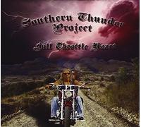 Rehmel John - Southern Thunder Project: Full Throttle Heart
