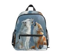 Reiacy Arctic Wolf and Fox Kids Small School Backpack, Toddler Preschool Shoulder Bookbag Kindergarten School Bag Casual Daypack