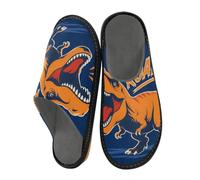 Reiacy Orange Dinosaur Roar House Slippers for Women Men, Non Slip Indoor Outdoor Slippers Warm Slippers House Shoes