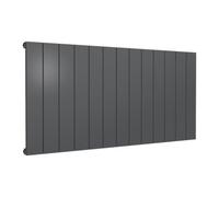 Reina Casina Horizontal Aluminium Single Panel Radiator - Size 600 X 1230mm - Anthracite