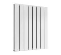 Reina Flat Horizontal Radiator Double - 600 X 588 mm - White