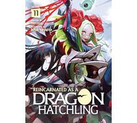 Reincarnated as a Dragon Hatchling (Light Novel) Vol. 11