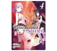 Reincarnated as a Sword (Light Novel) Vol. 4