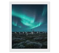 Reindeer_Aurora Diamond Art Kits for Adults 16"x20" DIY Diamond Painting Kit for Beginners Gem Art Painting with Round Full Drill Diamonds DIY Paint Paintings for Home Wall Decor Gift