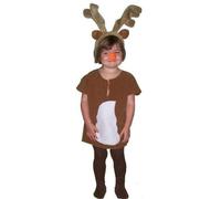 Reindeer Kids Nativity Costume : Age 6 - 7 yra