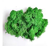 Reindeer Moss Preserved 2oz, Interior Flora Wall Decoration, Eternal Fresh Natural Moss for Office Home Décor (Jade Green)