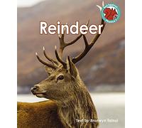 Reindeer (Red Squirrel Phonics Level 7)