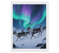 Reindeer Under Aurora Diamond Art Kits for Adults 12"x16" DIY Diamond Painting Kit for Beginners Gem Art Painting with Round Full Drill Diamonds DIY Paint Paintings for Home Wall Decor Gift