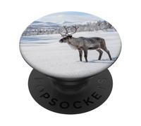 Reindeer Wildlife Animal Arctic Winter Snow Landscape Scene PopSockets Adhesive PopGrip