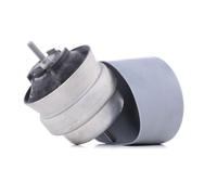 REINHOCH RH11-0037 Engine mount