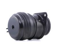 REINHOCH RH11-0107 Engine mount