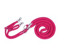 Reining for horses to help with lunging QHP