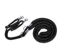 Reining for horses to help with lunging QHP