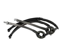 Reining for horses with round rings Harry's Horse