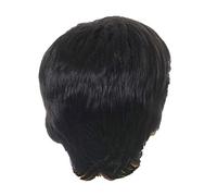 Reinscer Fashion Wig Short Black Male Straight Synthetic Wig for Men Hair Fleeciness Realistic Natural Black Toupee Wigs