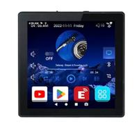 Reinscer Mini 8 Ohm Android 10.0 System Smart WIFI Bluetooth 2X25W Stereo Home Theater Background Music Wall Amp Easy Install Black