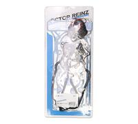 REINZ 02-36015-05 Gasket Set, cylinder head