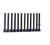 REINZ 14-32046-02 Bolt Kit, cylinder head