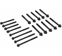Cylinder head bolt set Male Star 14-32370-01 VICTOR REINZ for FORD MAZDA