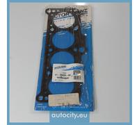 REINZ 61-29025-60 Gasket, cylinder head