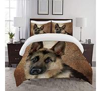 REIOIYE Duvet Cover Set-Bedding,Art Dog German Shepherd Simulation Old Painting Hand Wildlife Oil Alsatian Ancient Artistic Breed,Quilt Cover Bedlinen-Microfibre 140×200CM with 2 Pillowcase 50×80CM
