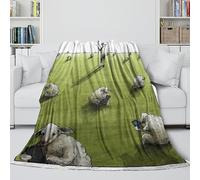 REIPOL Sheep Soft Fleece Blanket - Warm Throws for Calming And Sleep - Cozy Blanket To Wrap With After A Tiring Day - Gift for Yourself 40x50inch(100x130cm)