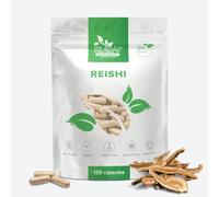 Reishi Mushroom Extract - 2100 mg per Serving - 120 High Strength Vegan Capsules - Ganoderma Lucidum Reishi Mushroom Capsules for Wellbeing, Energy & Immune Support - Raw Powders