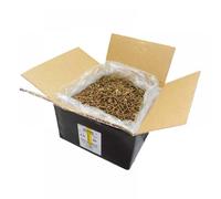 Reisser 9200S22035012B R2 Screws Csk Pzd Ft Yellow 3.5 X 12 Bulk Box Qty 35000