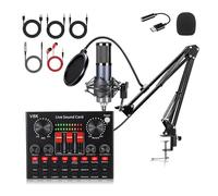 REITINGE 1Set Type C Condenser Microphone and Sound Card Voice Changer Real Time for Auditory Live Streaming Broadcasting Device