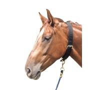 Reitsport Amesbichler AMKA Neck Strap Nylon Tie Belt for Horses Double Nylon with Buckle and Ring Black