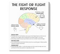 REIUAFWYGV Brain Response Poster Fight or Flight Response Mental Health for Office School(Framed,08x12inch(20x30cm))