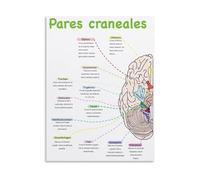 REIUAFWYGV Cranial Nerves Anatomy Canvas Wall-Art Educational Chart for Clinic Office Nursing School Decor(Framed,16x24inch(40x60cm))