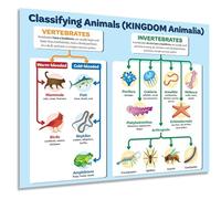 REIUAFWYGV Science Classroom Decor, Animal Kingdom Classification Zoology Chart, Biology Wall-Art for Middle High School Homeschool(Framed,08x12inch(20x30cm))