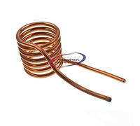 Reland Sun 1000W 20A ZVS Induction Heating Board Module Heater DC12-36V coil (Brass)